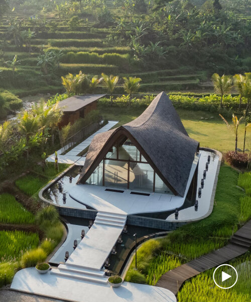 undulating wood and bamboo top k-thengono's wedding compound in indonesia rice fields